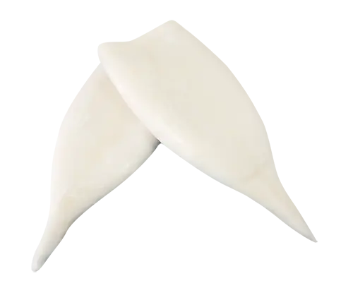 2Frozen Squid Products8qh