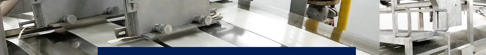 Frozen Squid